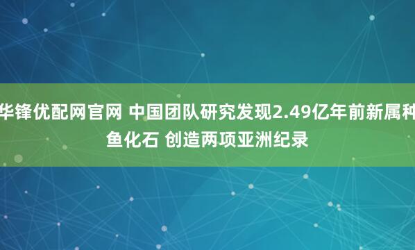 华锋优配网官网 中国团队研究发现2.49亿年前新属种鱼化石&#32;创造两项亚洲纪录
