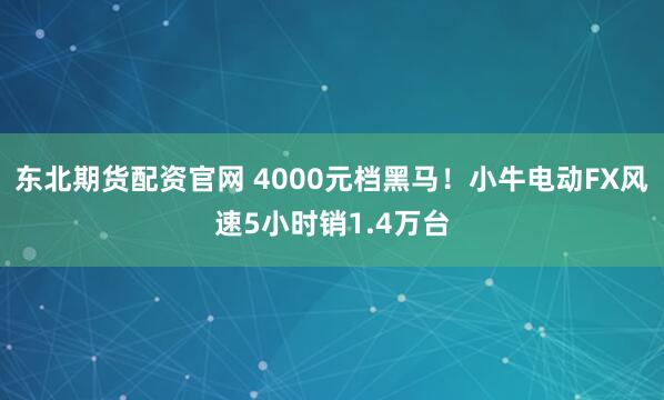 东北期货配资官网 4000元档黑马！小牛电动FX风速5小时销1.4万台