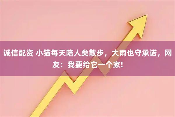 诚信配资 小猫每天陪人类散步，大雨也守承诺，网友：我要给它一个家!