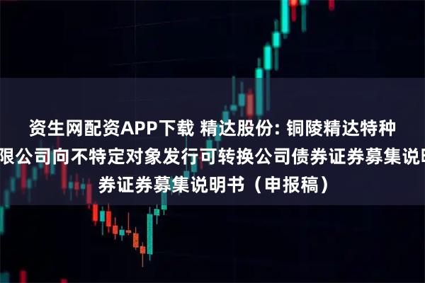 资生网配资APP下载 精达股份: 铜陵精达特种电磁线股份有限公司向不特定对象发行可转换公司债券证券募集说明书（申报稿）