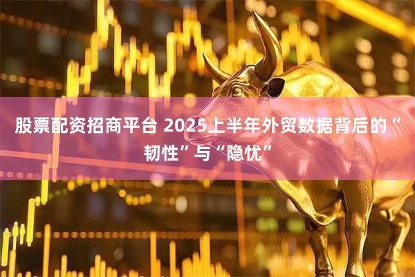 股票配资招商平台 2025上半年外贸数据背后的“韧性”与“隐忧”