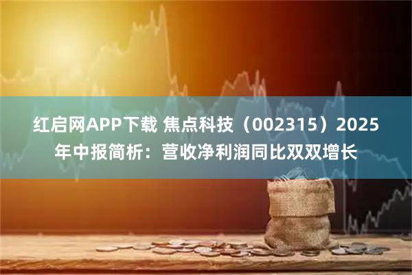 红启网APP下载 焦点科技（002315）2025年中报简析：营收净利润同比双双增长