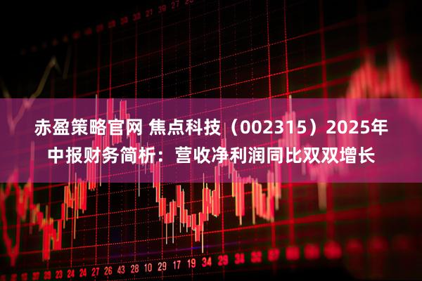 赤盈策略官网 焦点科技（002315）2025年中报财务简析：营收净利润同比双双增长
