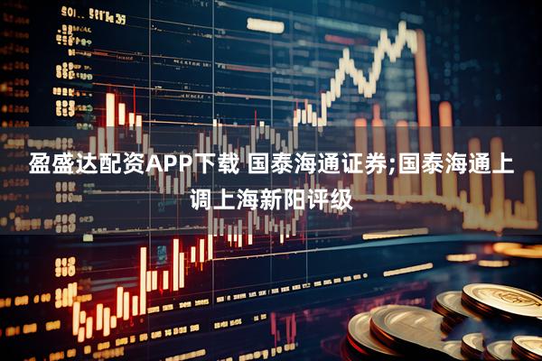 盈盛达配资APP下载 国泰海通证券;国泰海通上调上海新阳评级