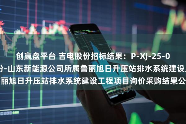 创赢盘平台 吉电股份招标结果：P-XJ-25-00363029第二次吉电股份-山东新能源公司所属鲁丽旭日升压站排水系统建设工程项目询价采购结果公告