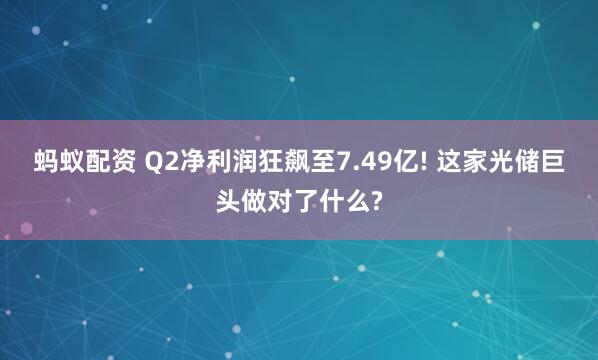 蚂蚁配资 Q2净利润狂飙至7.49亿! 这家光储巨头做对了什么?